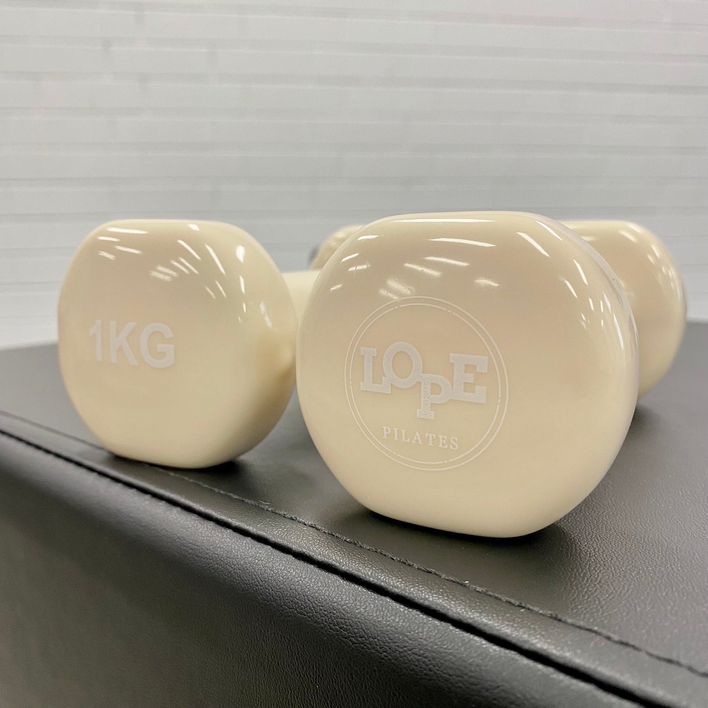 1kg Hand Held Weights - One pair