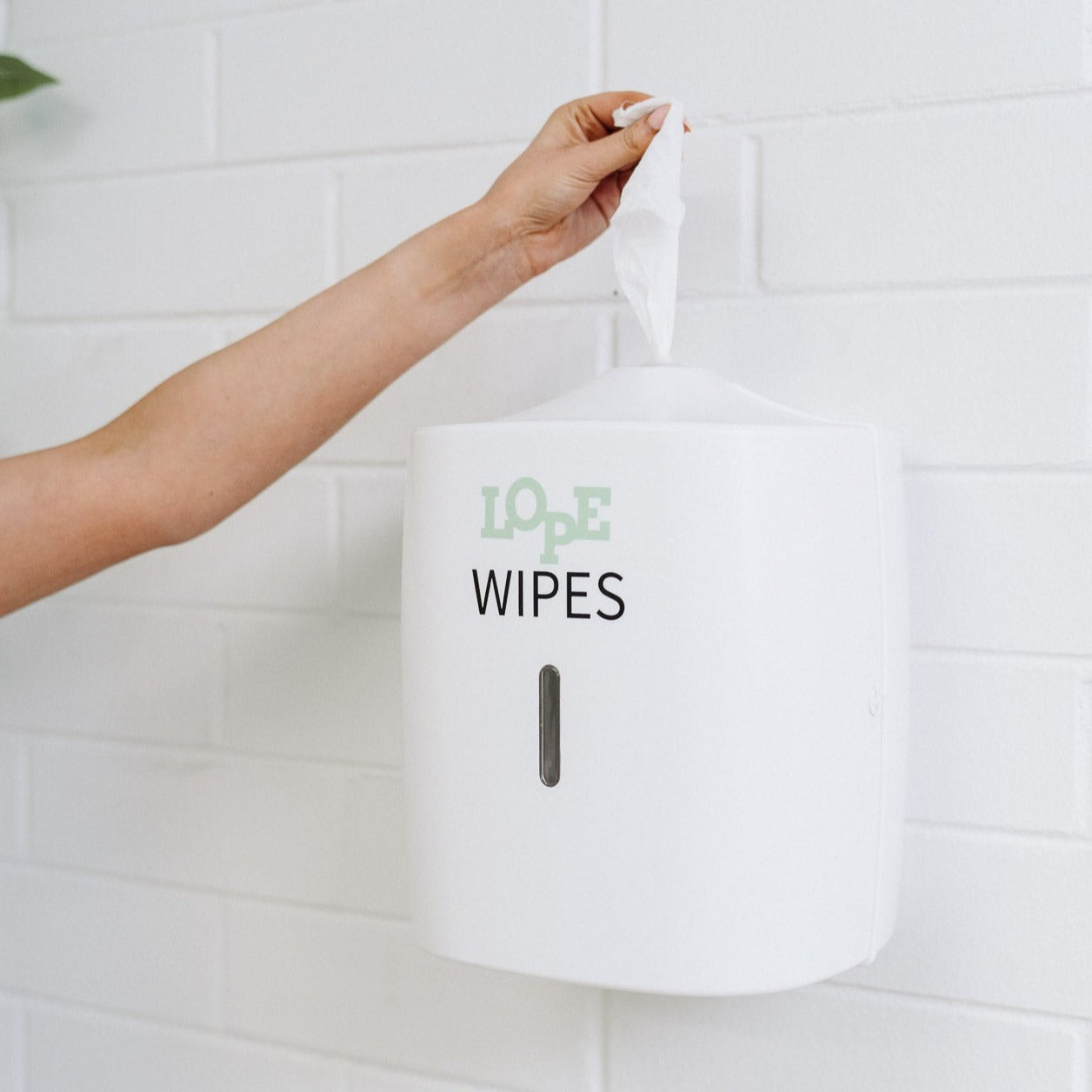 Equipment Wipes Wall Dispenser- White